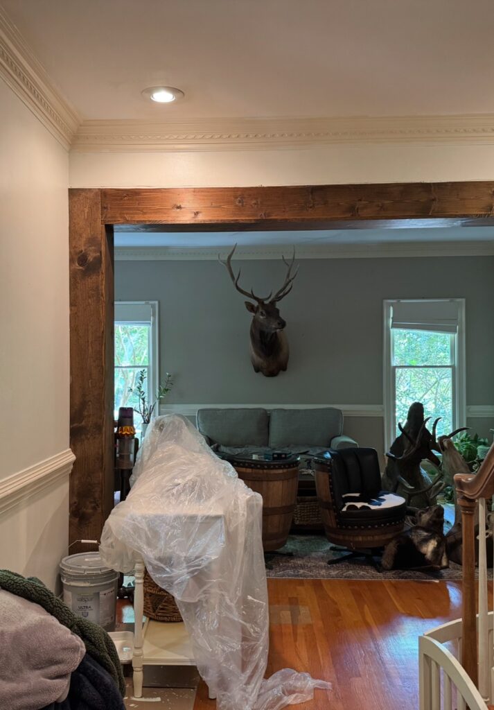Painting project by Victor Handyman Pro