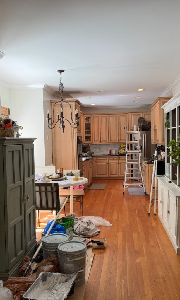 Painting project by Victor Handyman Pro