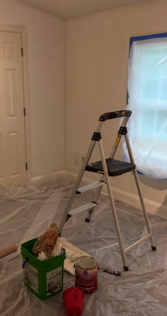 Painting project by Victor Handyman Pro